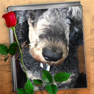 Meet your Posher, Keira